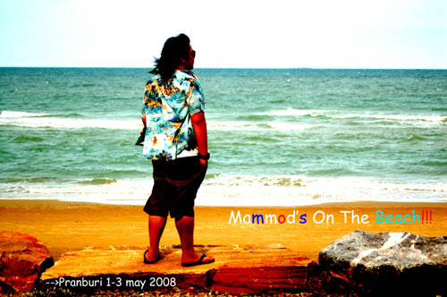 Name:  DSC_1464 copy.jpg
Views: 472
Size:  59.9 KB