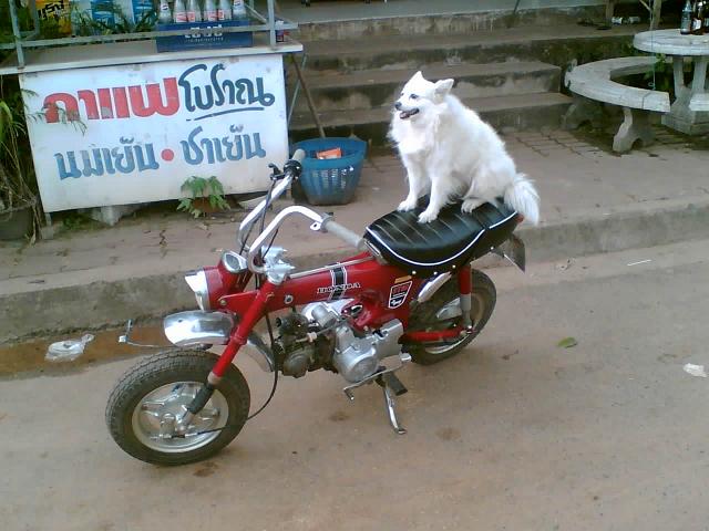 Name:  Image(355).jpg
Views: 552
Size:  49.3 KB
