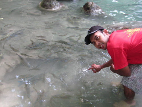 Name:  25.jpg
Views: 105
Size:  65.8 KB