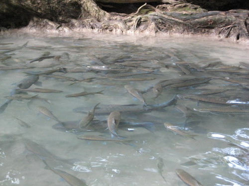 Name:  27.jpg
Views: 114
Size:  67.0 KB