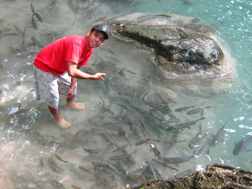 Name:  IMG_1969_resize.JPG
Views: 52
Size:  84.1 KB