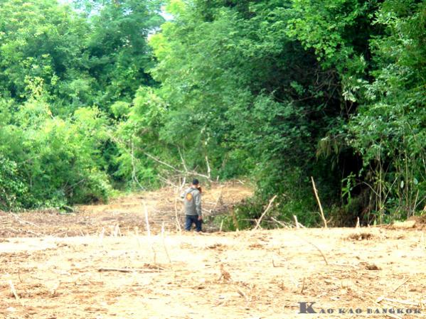 Name:  36.jpg
Views: 731
Size:  72.4 KB