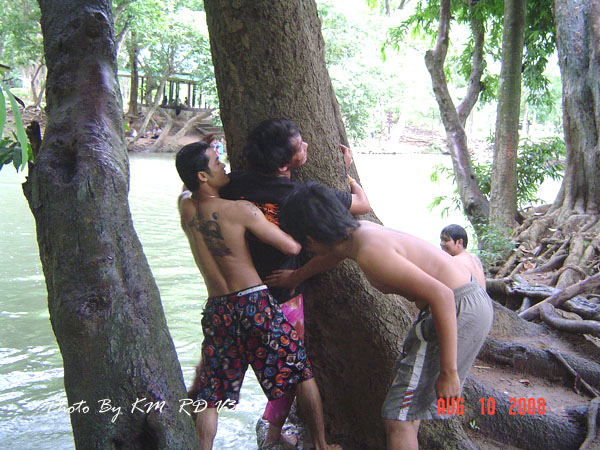 Name:  17.jpg
Views: 492
Size:  141.3 KB