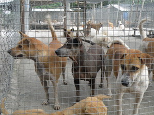 Name:  re16.jpg
Views: 165
Size:  47.1 KB