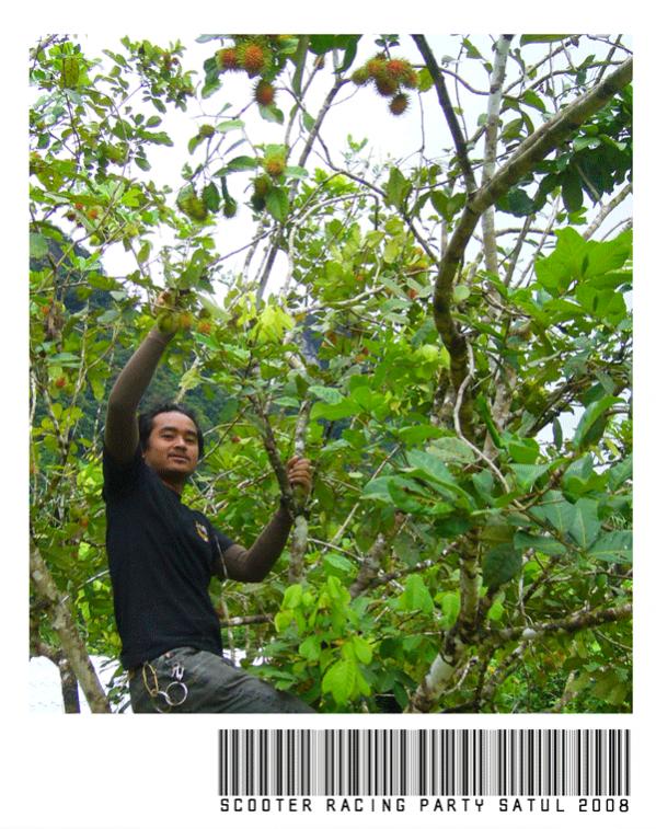 Name:  017.jpg
Views: 581
Size:  104.1 KB