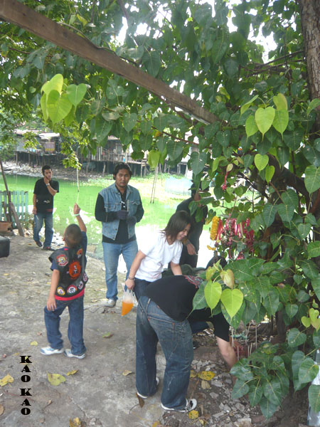 Name:  01.jpg
Views: 1333
Size:  141.7 KB
