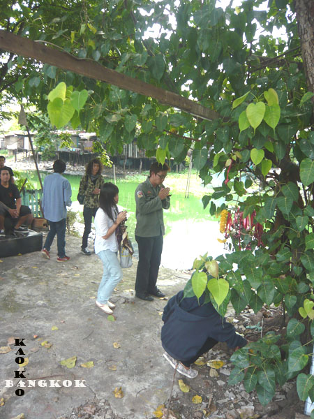 Name:  02.jpg
Views: 1309
Size:  140.4 KB