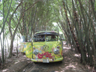 Name:  IMG_7050re.jpg
Views: 599
Size:  46.2 KB