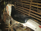 Name:  IMG_7075re.jpg
Views: 634
Size:  42.6 KB