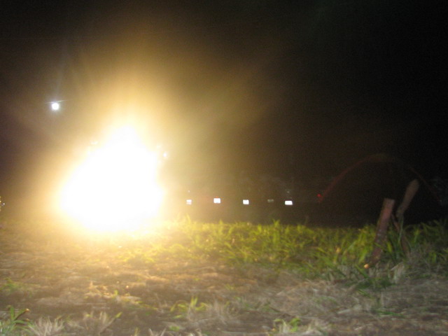 Name:  IMG_1952.jpg
Views: 846
Size:  62.6 KB