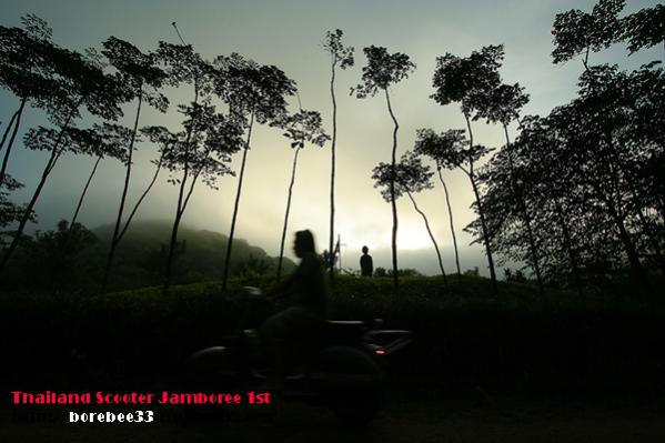 Name:  IMG_3148 copy.jpg
Views: 1378
Size:  40.3 KB