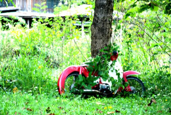 Name:  64.jpg
Views: 700
Size:  71.5 KB