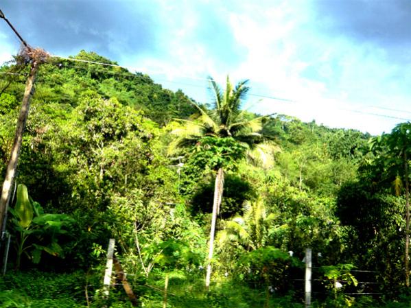 Name:  67.jpg
Views: 705
Size:  65.8 KB