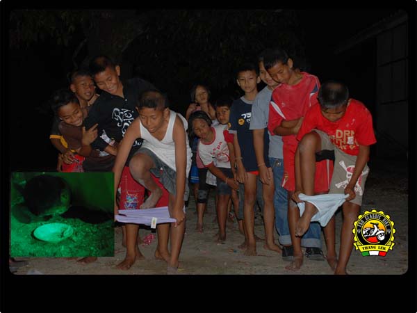Name:  DSC_0402.jpg
Views: 532
Size:  54.2 KB