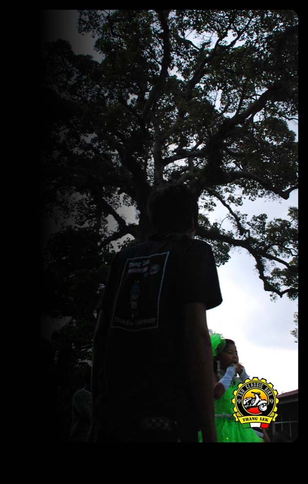 Name:  DSC_0322.jpg
Views: 120
Size:  95.6 KB