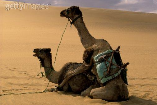 Name:  fuck04.jpg
Views: 394
Size:  26.1 KB