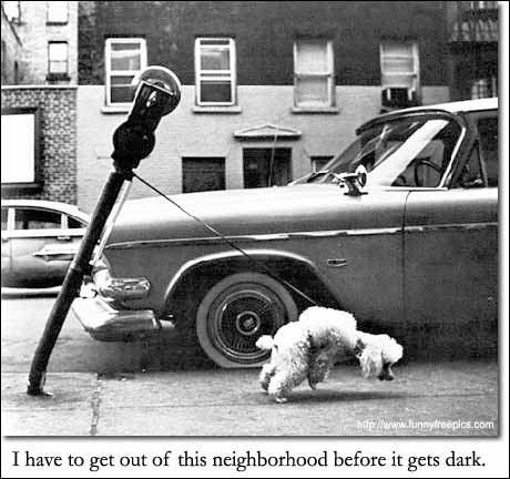 Name:  att00366.jpg
Views: 291
Size:  30.4 KB