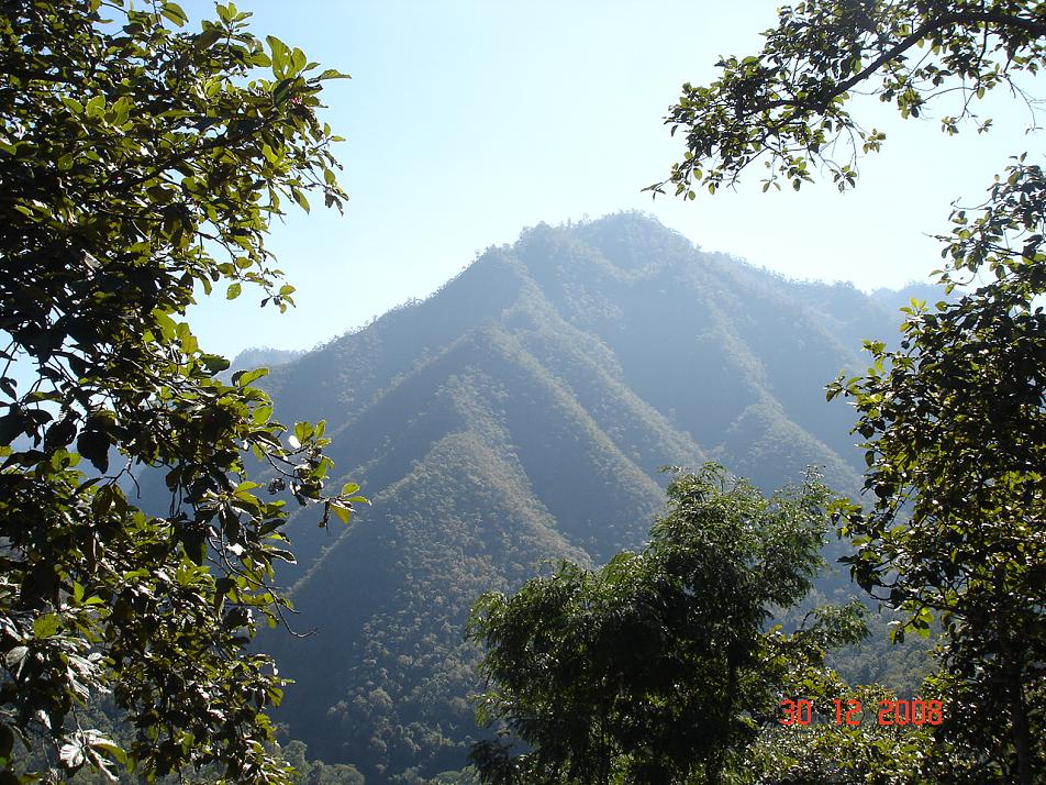 Name:  DSC00868.jpg
Views: 256
Size:  188.1 KB