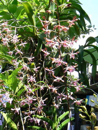 Name:  P1000029.jpg
Views: 1114
Size:  55.5 KB