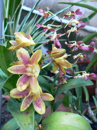 Name:  P1000026.jpg
Views: 1083
Size:  43.3 KB