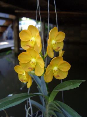 Name:  CIMG0284.jpg
Views: 993
Size:  37.4 KB