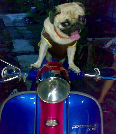 Name:  iQy8Eg689654-02.jpg
Views: 1276
Size:  36.4 KB