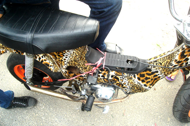 Name:  20.jpg
Views: 950
Size:  131.2 KB
