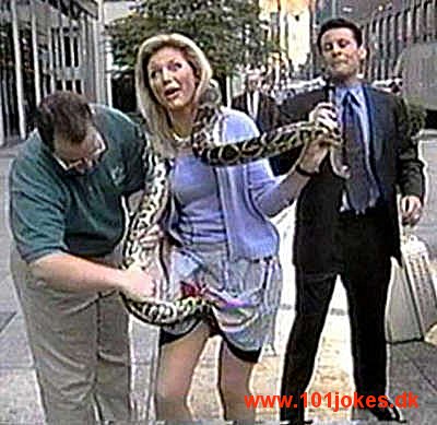 Name:  pantysnake.jpg
Views: 262
Size:  45.4 KB