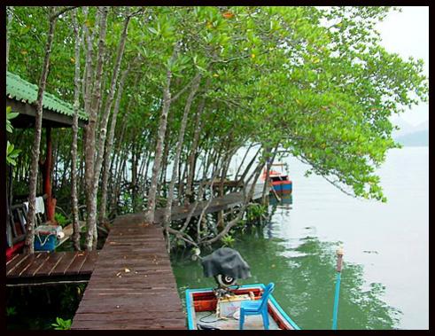 Name:  ͹9.jpg
Views: 1271
Size:  50.6 KB