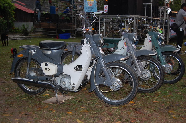 Name:  DSC_1560.jpg
Views: 571
Size:  129.3 KB