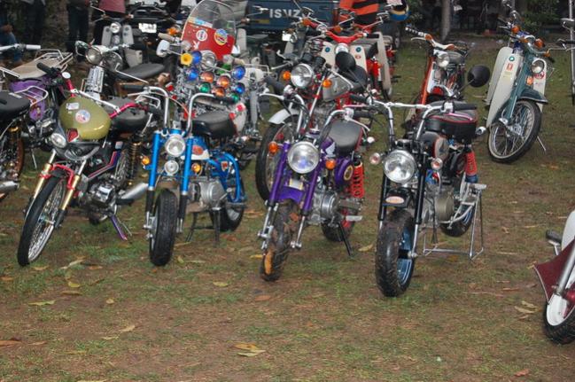 Name:  DSC_1566.jpg
Views: 551
Size:  67.8 KB
