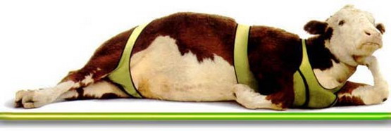 Name:  untitled.jpg
Views: 270
Size:  26.0 KB