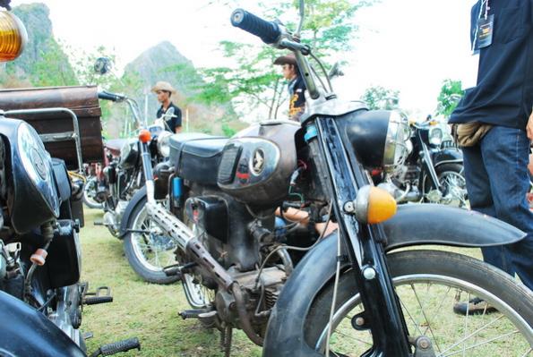 Name:  DSC_0127_resize.jpg
Views: 159
Size:  53.3 KB