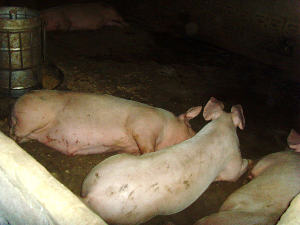 Name:  92.jpg
Views: 258
Size:  79.3 KB