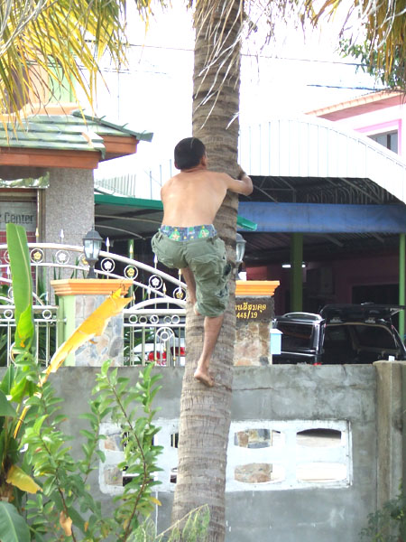Name:  27.jpg
Views: 2286
Size:  125.9 KB