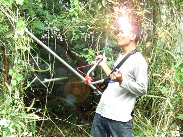 Name:  39.jpg
Views: 907
Size:  77.8 KB