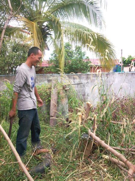 Name:  44.jpg
Views: 902
Size:  72.7 KB