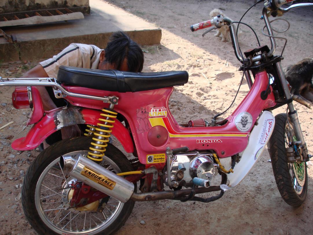 Name:  DSC00235.jpg
Views: 529
Size:  152.1 KB