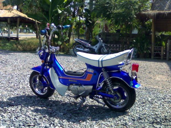 Name:  ab2 (61).jpg
Views: 839
Size:  68.3 KB