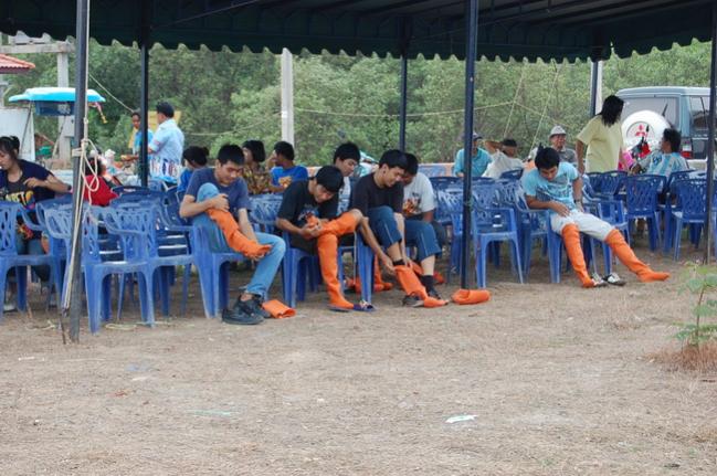 Name:  DSC_1772.jpg
Views: 992
Size:  58.5 KB