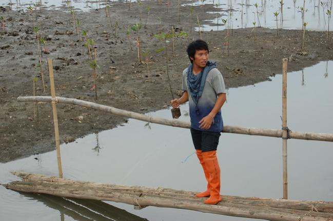 Name:  DSC_1777.jpg
Views: 976
Size:  43.1 KB