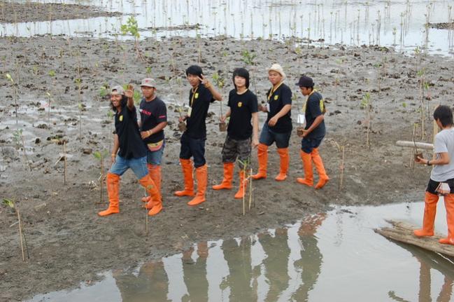 Name:  DSC_1779.jpg
Views: 952
Size:  59.1 KB