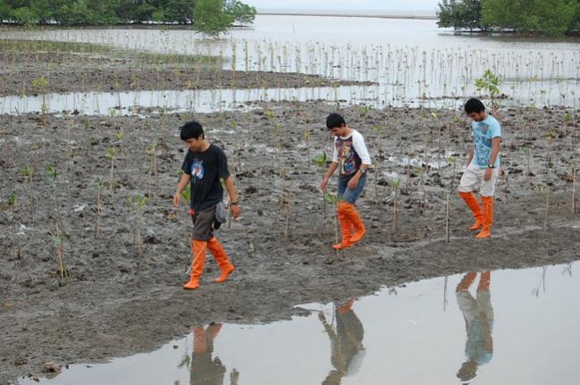 Name:  DSC_1782.jpg
Views: 947
Size:  57.5 KB