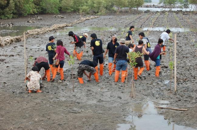 Name:  DSC_1783.jpg
Views: 968
Size:  67.5 KB