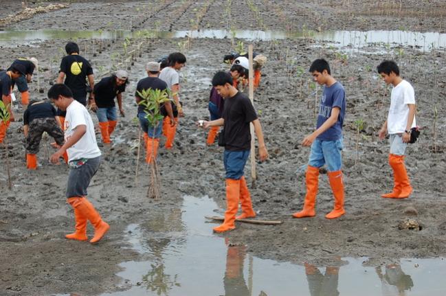 Name:  DSC_1784.jpg
Views: 940
Size:  64.1 KB