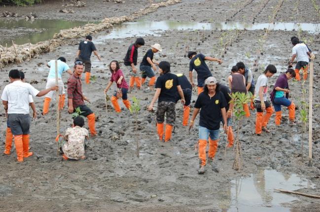 Name:  DSC_1785.jpg
Views: 934
Size:  66.0 KB