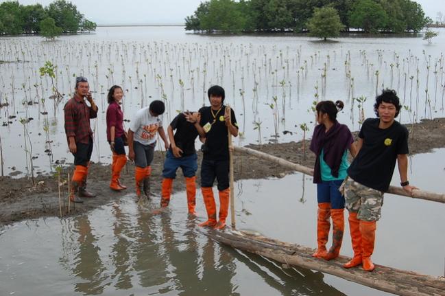 Name:  DSC_1792.jpg
Views: 1277
Size:  53.2 KB