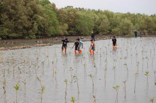 Name:  DSC_1793.jpg
Views: 1136
Size:  49.4 KB