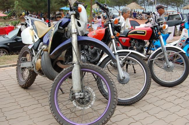 Name:  DSC_1804.jpg
Views: 930
Size:  68.7 KB