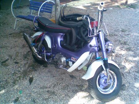 Name:  MINI097.jpg
Views: 20729
Size:  36.7 KB